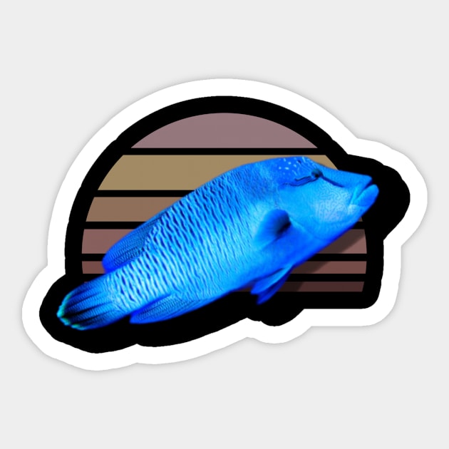 Humphead Wrasse Fish Vintage Sticker by Franz Design